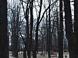 [FOTO] Migawki z miasta: Park im.Jana Kasprowicza