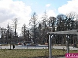 [FOTO] Migawki z miasta: Park Centralny