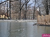 [FOTO] Migawki z miasta: Park Centralny