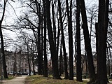 [FOTO] Migawki z miasta: Park im.gen.W.Sikorskiego