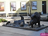 [FOTO] Migawki z miasta: Rynek i okolice