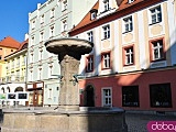 [FOTO] Migawki z miasta: Rynek i okolice