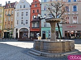 [FOTO] Migawki z miasta: Rynek i okolice