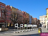 [FOTO] Migawki z miasta: Rynek i okolice