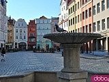 [FOTO] Migawki z miasta: Rynek i okolice