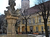 [FOTO] Migawki z miasta: Rynek i okolice