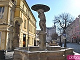 [FOTO] Migawki z miasta: Rynek i okolice