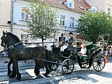 [FOTO] VII Międzynarodowy Konkurs Tradycyjnego Powożenia za nami