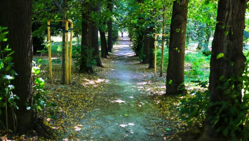 [FOTO] Trwa rewitalizacja Parku Młodzieżowego