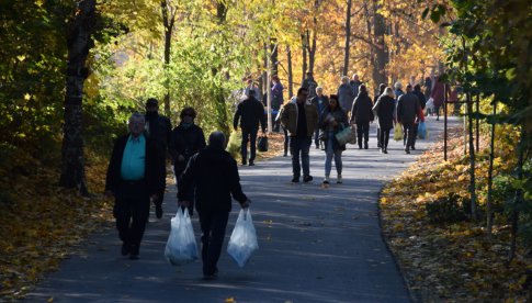 Świdniczanie tłumnie wyruszyli na cmentarze