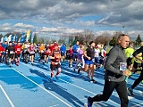 [FOTO, WIDEO] Po raz szósty pobiegli w RST Półmaratonie Świdnickim