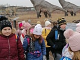 [FOTO] Uczniowie z gminy Żarów na wycieczkach w różnych rejonach Polski