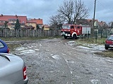 [FOTO] Spotkanie z Mikołajem w Mrowinach