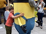 Minionki odwiedziły Świdnicę