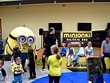 Minionki odwiedziły Świdnicę