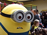 Minionki odwiedziły Świdnicę