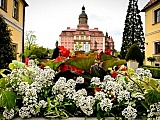 ksiaz