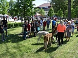 Festyn rodzinno-sportowy „Jan Paweł II papieżem sportowców”