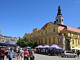 Trwają Dolnośląskie Targi Warsztatów Terapii Zajęciowej. Atrakcji nie brakowało!