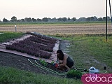 [FOTO] Przygotowania do dożynek w Opoczce idą pełną parą