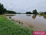 [FOTO] Zalane drogi i podtopienia w gminie Świdnica