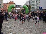 [FOTO] Wystartował jubileuszowy Aryzta Półmaraton Strzegom 