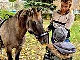 Granty na innowacje społeczne w świdnickim Kole PSONI