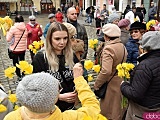 Żółty Marsz Nadziei przeszedł przez świdnicki rynek. To zwieńczenie akcji rozpoczętej jesienią [Foto]