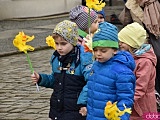 Żółty Marsz Nadziei przeszedł przez świdnicki rynek. To zwieńczenie akcji rozpoczętej jesienią [Foto]