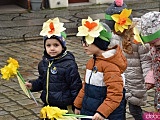 Żółty Marsz Nadziei przeszedł przez świdnicki rynek. To zwieńczenie akcji rozpoczętej jesienią [Foto]