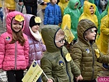 Żółty Marsz Nadziei przeszedł przez świdnicki rynek. To zwieńczenie akcji rozpoczętej jesienią [Foto]