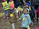 Żółty Marsz Nadziei przeszedł przez świdnicki rynek. To zwieńczenie akcji rozpoczętej jesienią [Foto]