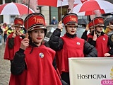 Żółty Marsz Nadziei przeszedł przez świdnicki rynek. To zwieńczenie akcji rozpoczętej jesienią [Foto]