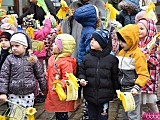 Żółty Marsz Nadziei przeszedł przez świdnicki rynek. To zwieńczenie akcji rozpoczętej jesienią [Foto]