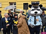 Żółty Marsz Nadziei przeszedł przez świdnicki rynek. To zwieńczenie akcji rozpoczętej jesienią [Foto]