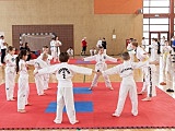 Otwarte Mistrzostwa Polski Polskiego Zrzeszenia Taekwon-do ITF HQ za nami [Foto]