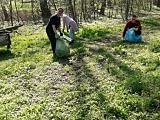 Wiosenne porządki w Czernicy [Foto]