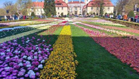 [FOTO] Trwa Festiwal Kwiatów i Sztuki w Zamku Książ