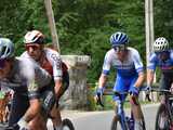 Peleton Tour de Pologne przejechał przez powiat świdnicki i okolice [FOTO]