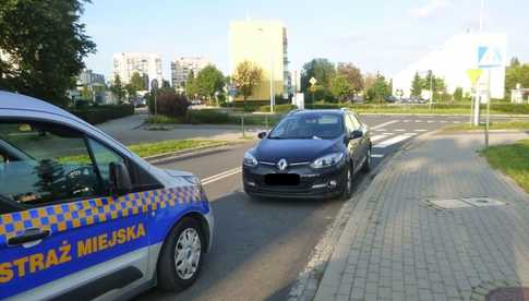 Agresywne psy, głośny wentylator i awanturnik na basenie. Zobacz, gdzie interweniowali strażnicy miejscy w minionym tygodniu