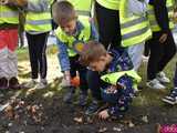 [FOTO] Zasadzili żonkile, które wiosną stworzą żółte Pola Nadziei. Rozpoczęto kolejną edycję akcji świdnickiego hospicjum