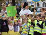 [FOTO] Zasadzili żonkile, które wiosną stworzą żółte Pola Nadziei. Rozpoczęto kolejną edycję akcji świdnickiego hospicjum