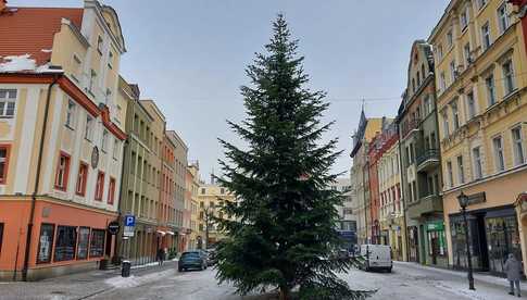 [FOTO] Świąteczny nastrój w centrum miasta. Na świdnickim rynku stanęła choinka