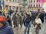 [FOTO, VIDEO] Trzej królowie z osiołkami zawitali do Świdnicy