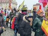 [FOTO, VIDEO] Trzej królowie z osiołkami zawitali do Świdnicy