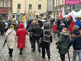 [FOTO, VIDEO] Trzej królowie z osiołkami zawitali do Świdnicy