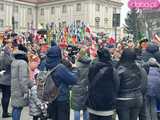 [FOTO, VIDEO] Trzej królowie z osiołkami zawitali do Świdnicy