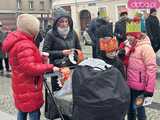 [FOTO, VIDEO] Trzej królowie z osiołkami zawitali do Świdnicy