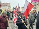 [FOTO, VIDEO] Trzej królowie z osiołkami zawitali do Świdnicy