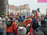 [FOTO, VIDEO] Trzej królowie z osiołkami zawitali do Świdnicy